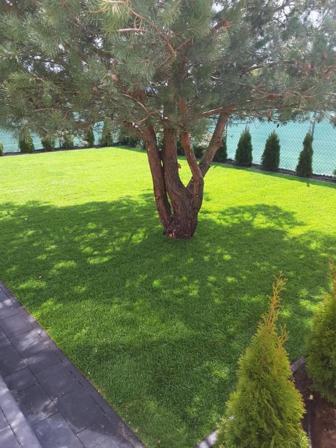 Blekit Apartamenty Przy Jastrzebiej Mieroszyno Exterior foto